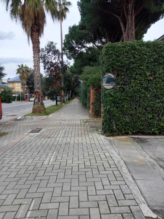 Bilocale Climatizzato A 850M Dalla Spiaggia Casa Katia Marina di Massa Zewnętrze zdjęcie