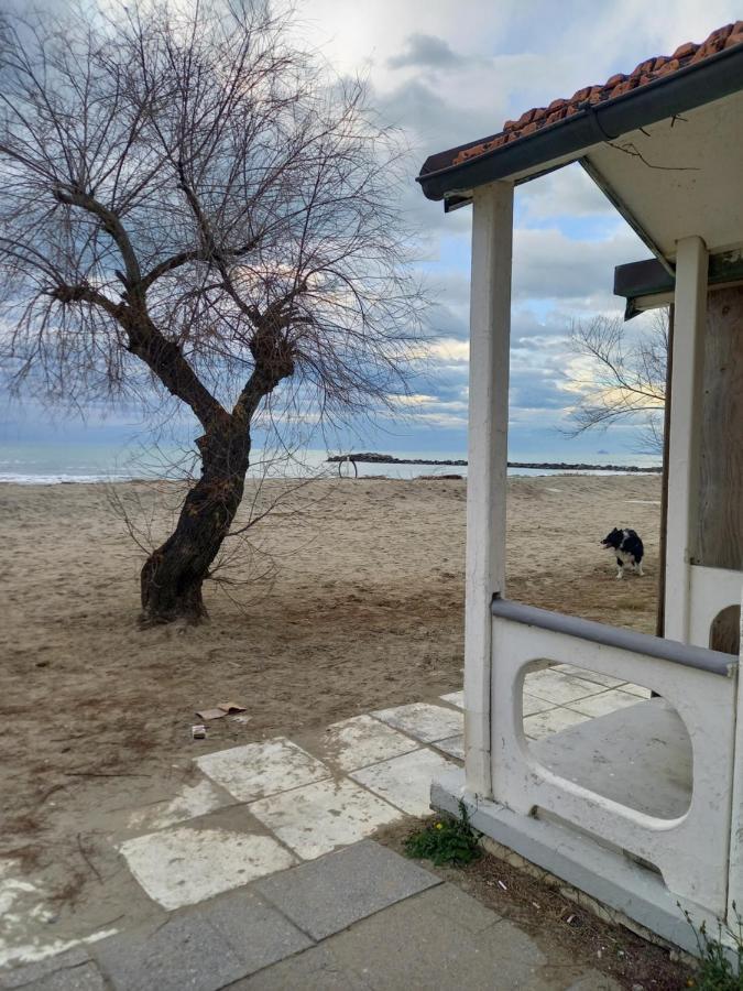 Bilocale Climatizzato A 850M Dalla Spiaggia Casa Katia Marina di Massa Zewnętrze zdjęcie